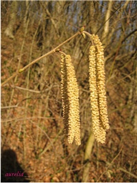 b2236e4a-IMG_4518 2.jpg